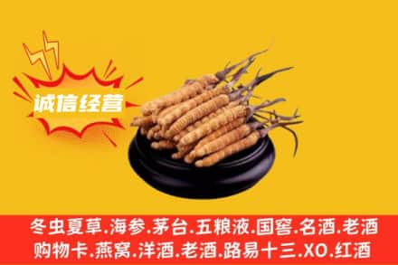 乌拉特前旗回收冬虫夏草